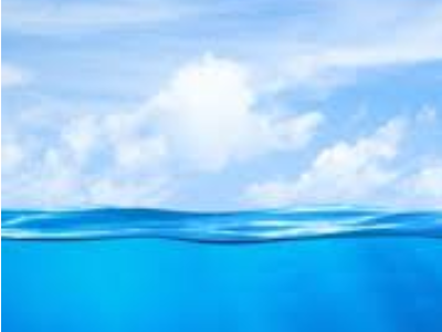 Eco Marine Algae Extract