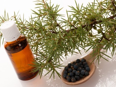Juniper Berry Oil