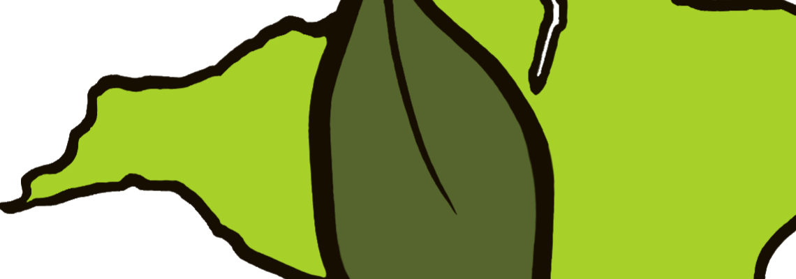 Questions and Answers