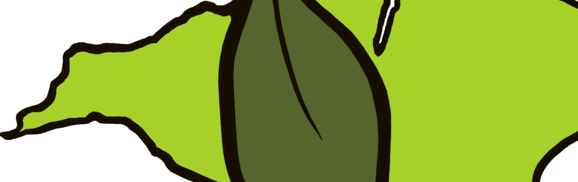 How to use our products