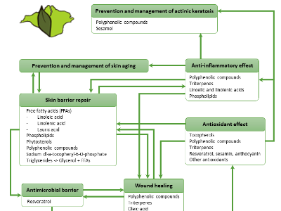 Physiological Responses