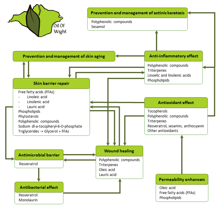 Oil physiological responses on skin