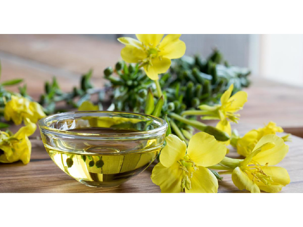 Evening Primrose Oil
