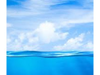 Eco Marine Algae Extract